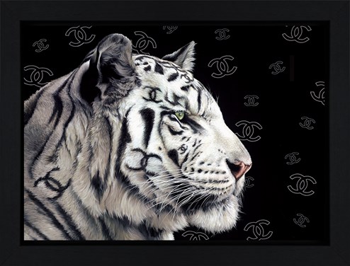 Catwalk Couture by Hayley Goodhead - Framed Limited Edition Box Canvas